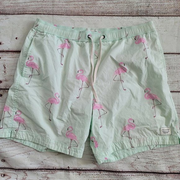 Modern Amusement Swim Trunks Flamingo - Picture 1 of 5